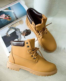 Camel workery Kasandra